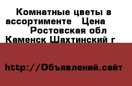 Комнатные цветы в ассортименте › Цена ­ 2 000 - Ростовская обл., Каменск-Шахтинский г.  »    